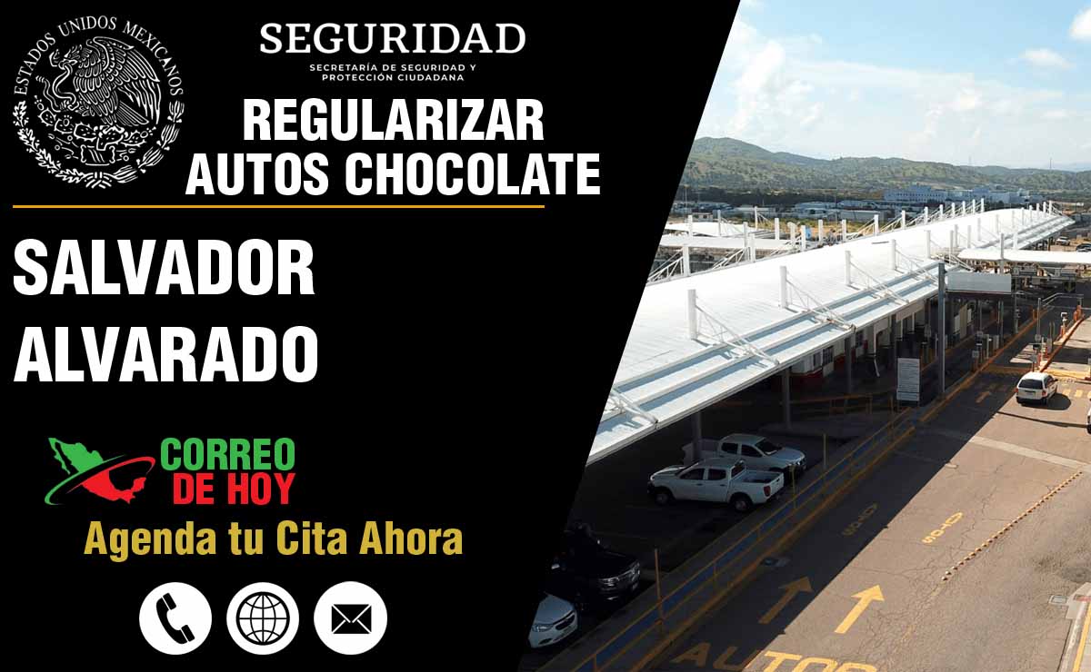 Mdulos de Regularizacin en Salvador Alvarado - Direcciones y Telfonos